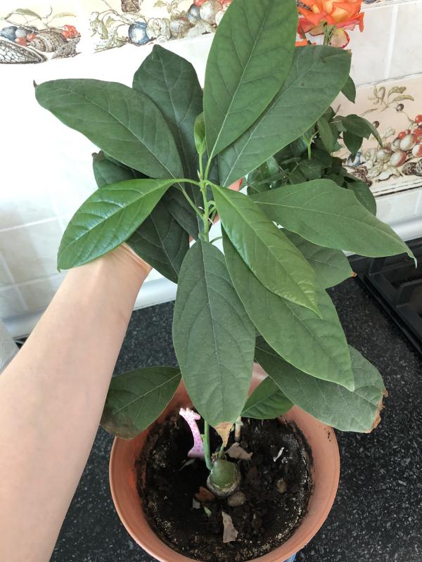 post image 1