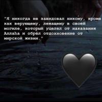 Камила