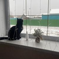 ZaraSA