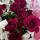 ilvina17