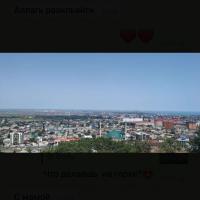 Bersinaii