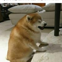 Катрин