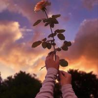 aliya_