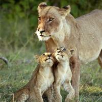 mama2princess