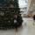 irza.svetlana86