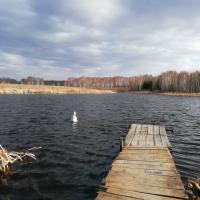 Гюнай