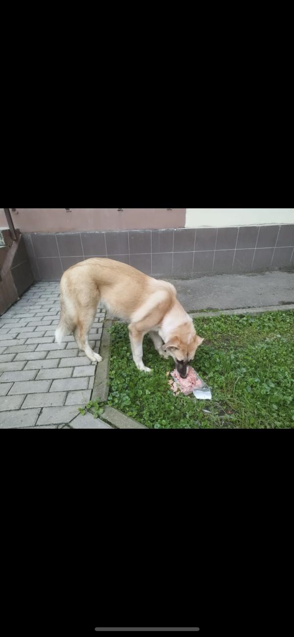 post image 1