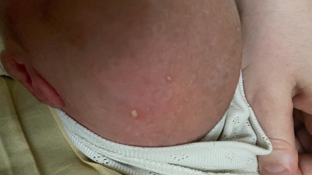 post image 2