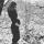 id4541954