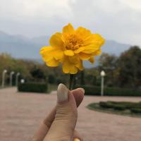Айгерим