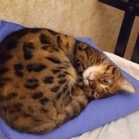 Александра