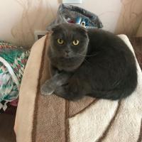 Марина