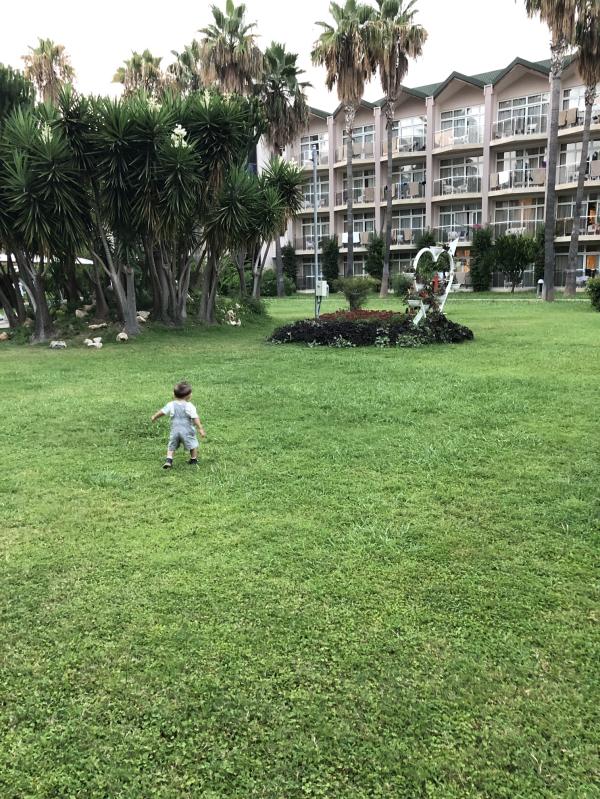 post image 5