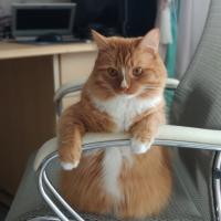 Ольга