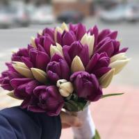 Милана 