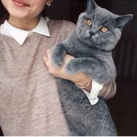 Ainurchik