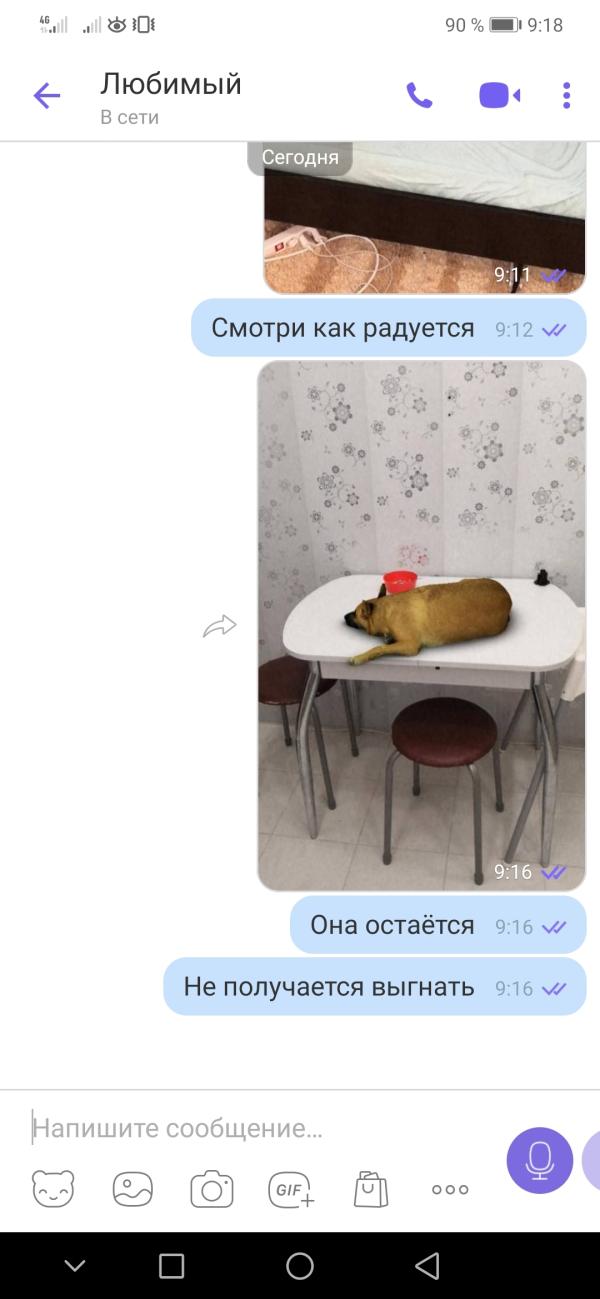 post image 4