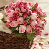 🌸Мадина🌸