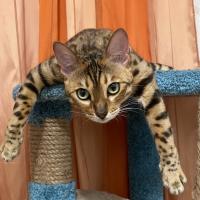 Кристина