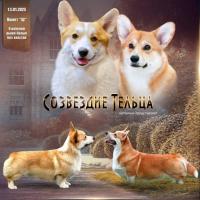 Лилия