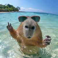 НаКа