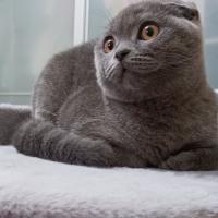 Юля