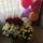 vera.rusin.92