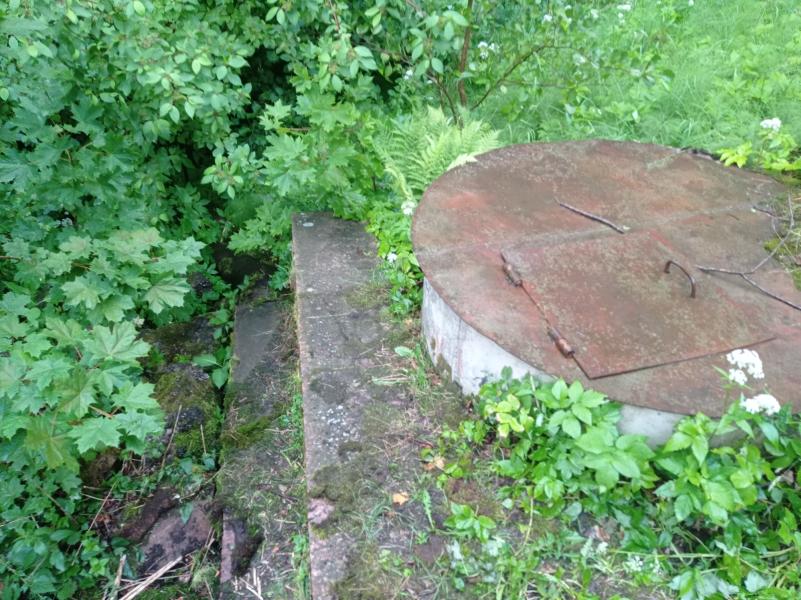 post image 4