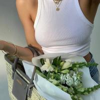 Asselya