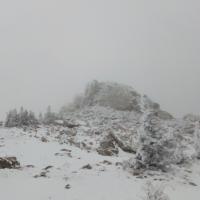 Полина
