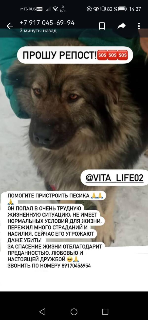 post image 2