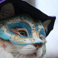Анастасия