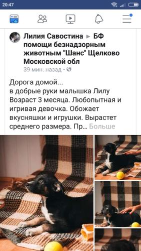 post image