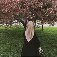 Amira