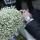 abdulaeva.mg