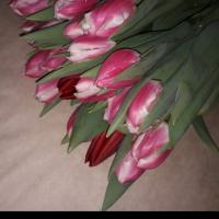 Алия Медведева