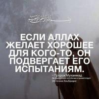 ZhaDrA 🙂