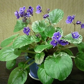 post image 3