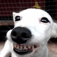 Оксана