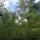 alisha.11