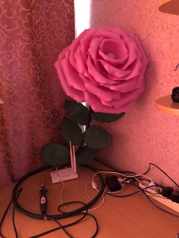 post image 5