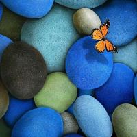 Май🦋