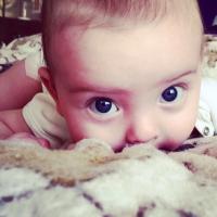 Тарасенко Анжелика