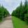 a_slasheva