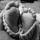 dasha90che