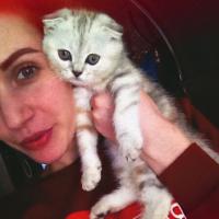 Анна Аленевская 