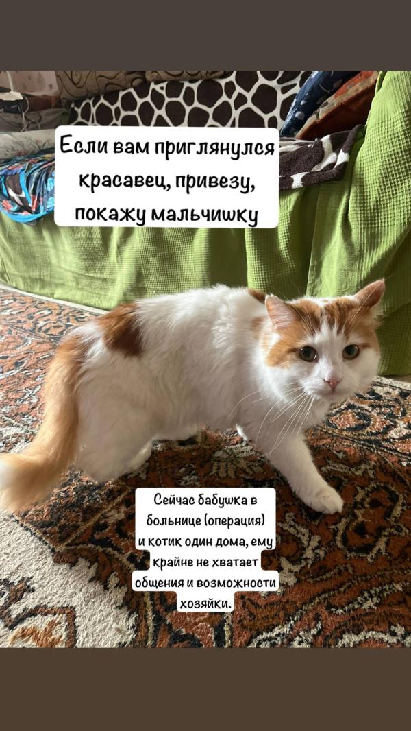 post image 3