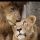 fatimka07__