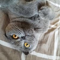 Алена