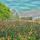 sunny_nuvola